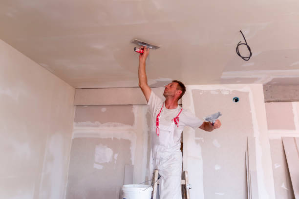 Best Water-Damaged Drywall Repair  in USA